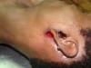 Concealed Gunshots through the Aural Orifice