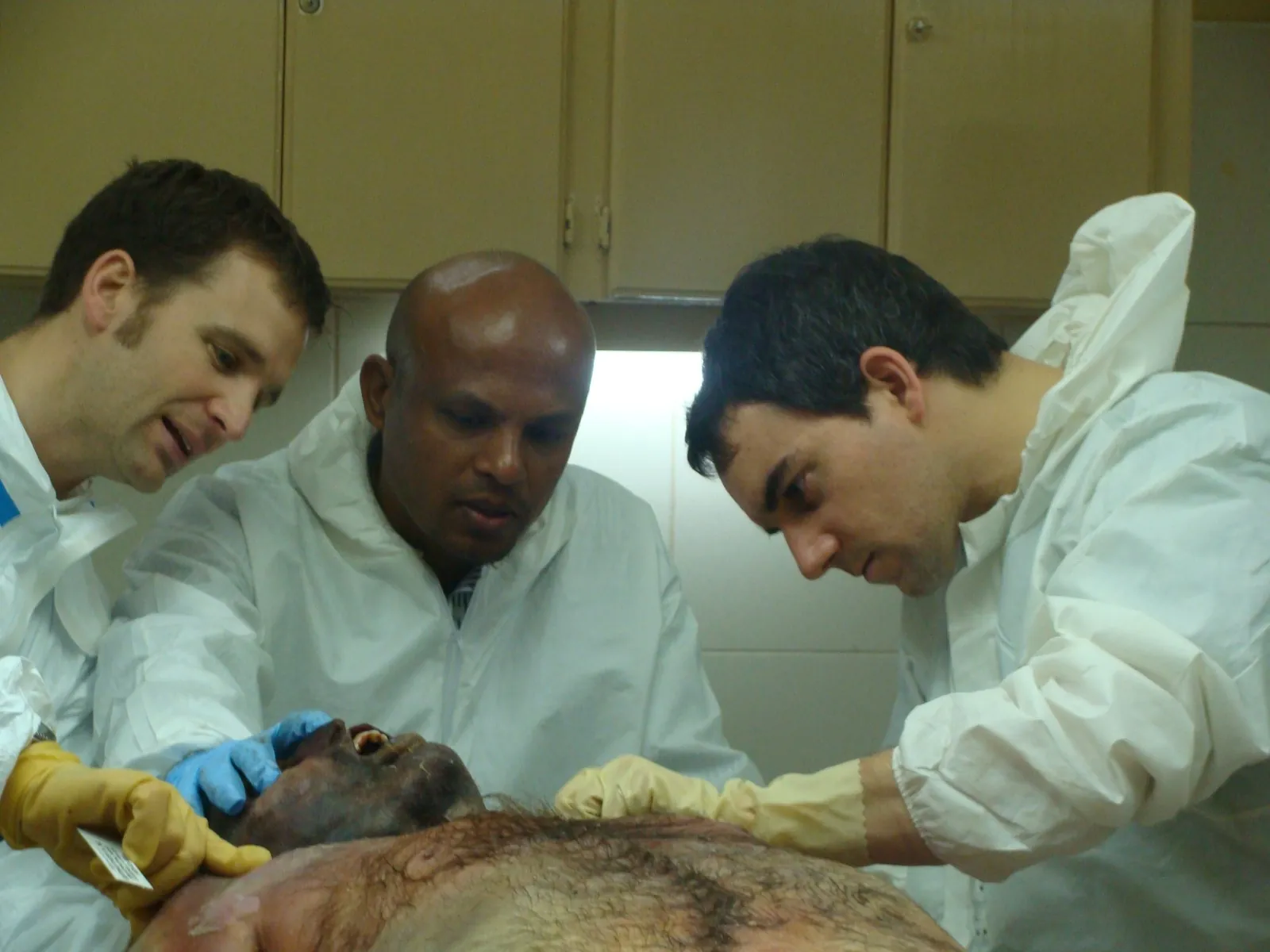 Forensic pathology lab